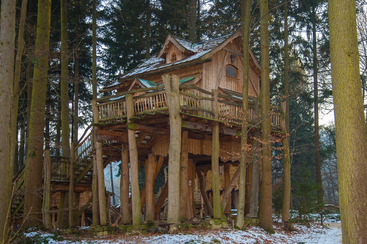 Ein Baumhaus bauen - wohn-bau-magazin.de